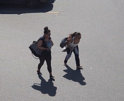 Nanaimo RCMP seeking alleged thieves of $2000 camera