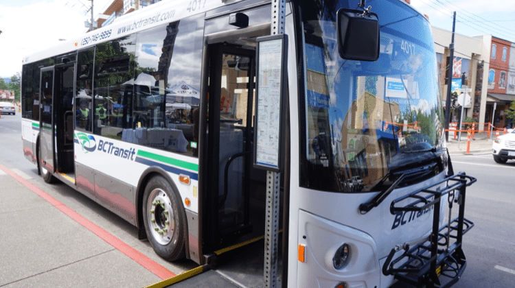 Nanaimo community groups concerned about safety at bus shelters 