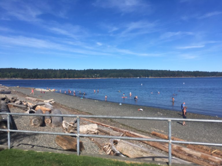 No swimming allowed at Transfer Beach due to high bacteria levels