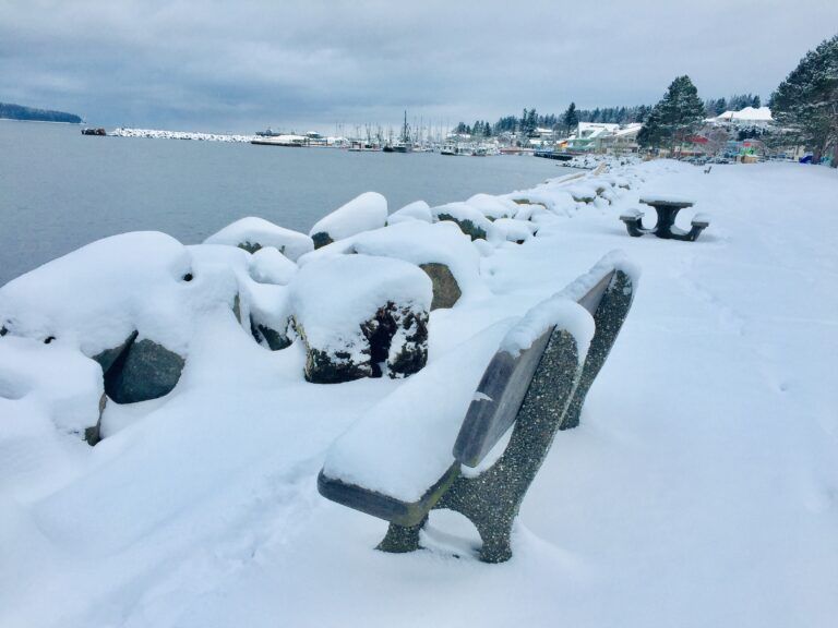 East Vancouver Island, Sunshine Coast to get 10 to 20 cm of snow tonight