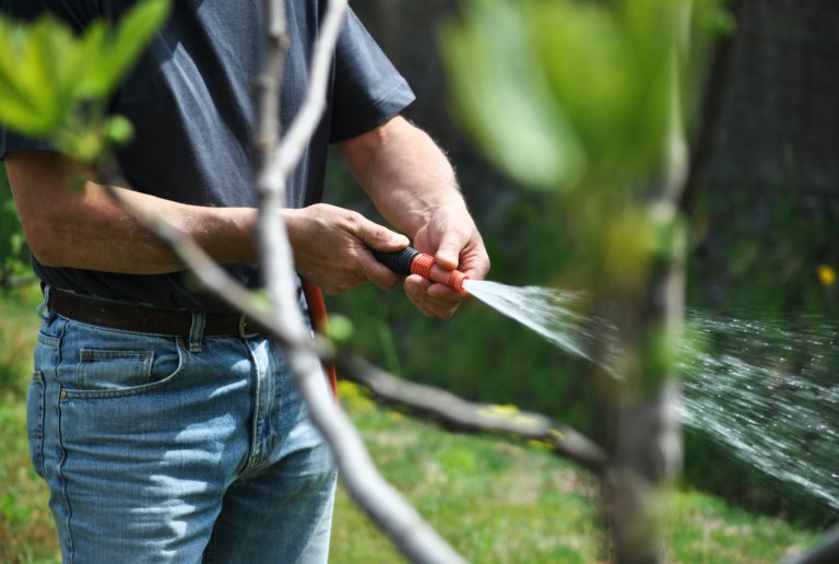 Sunshine Coast allows lawn watering as water restrictions ease