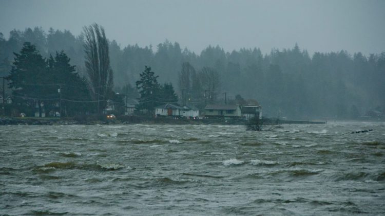 Monday morning ferries cancelled ahead of expected storm