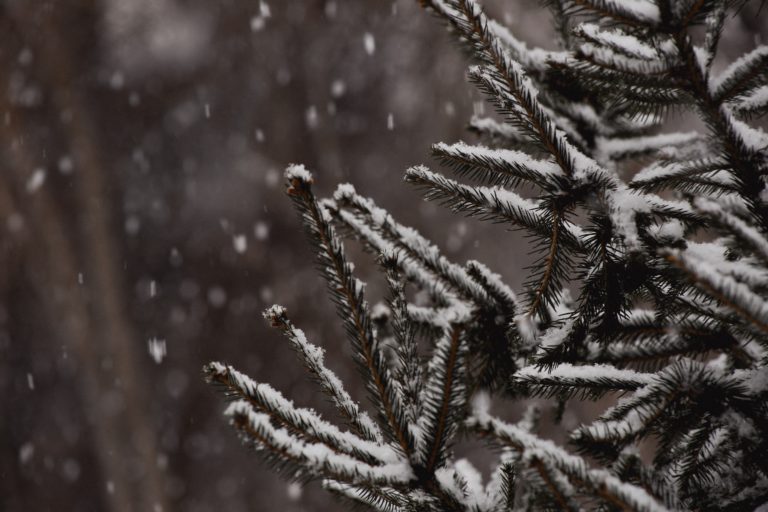 Nanaimo’s only warming shelter closes after possible misuse of funds