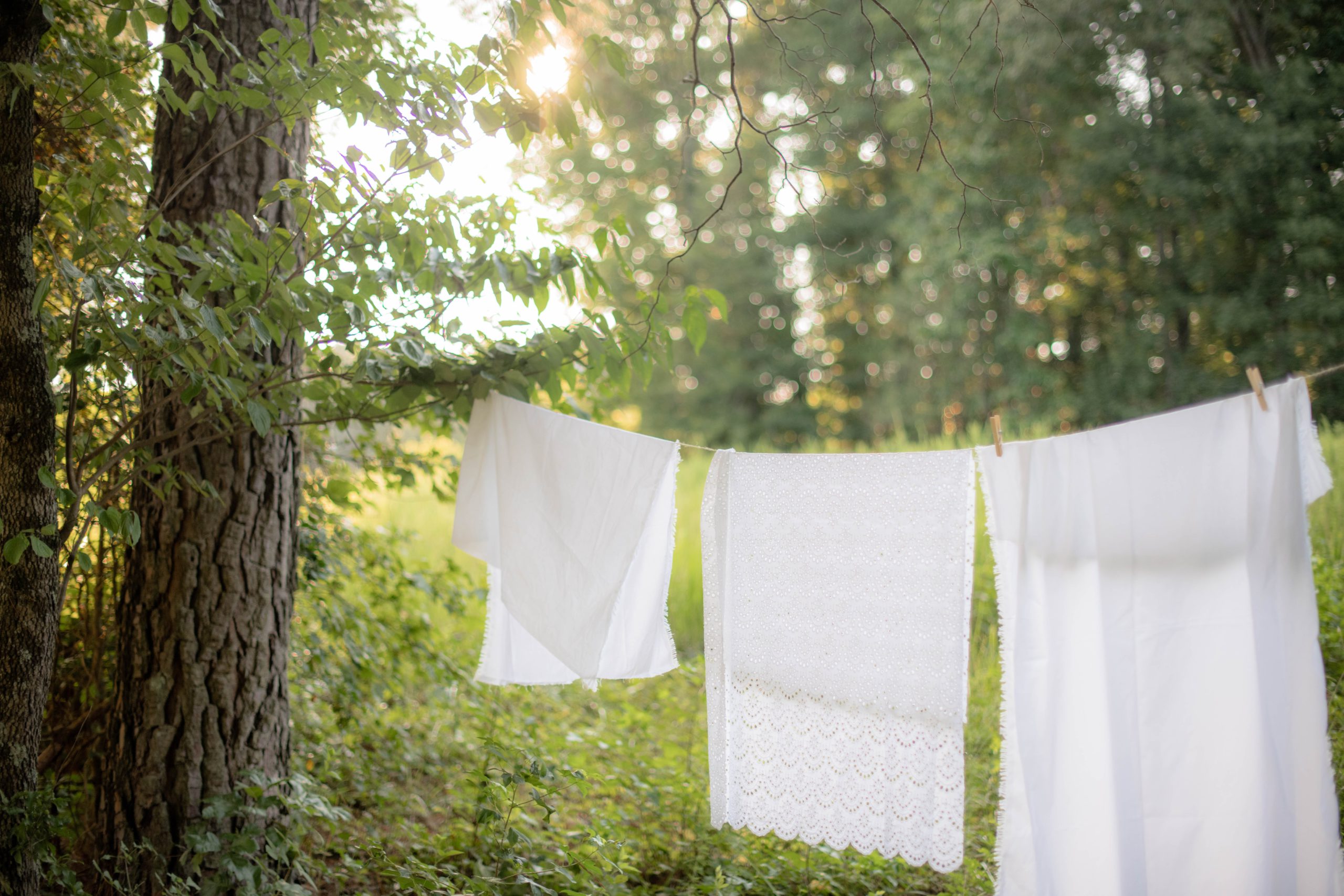 Clothesline Act aims to bring outdoor clothes drying for all - My