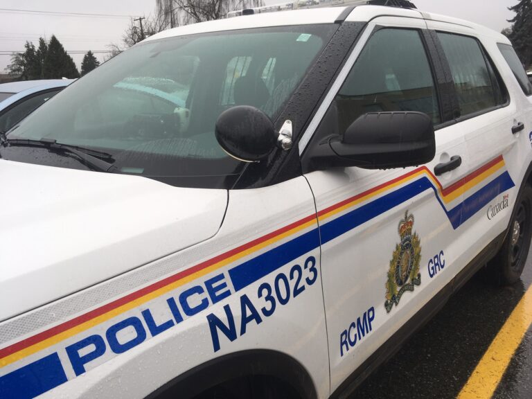 ‘Pro-active’ patrol results in two guns taken off Nanaimo’s streets