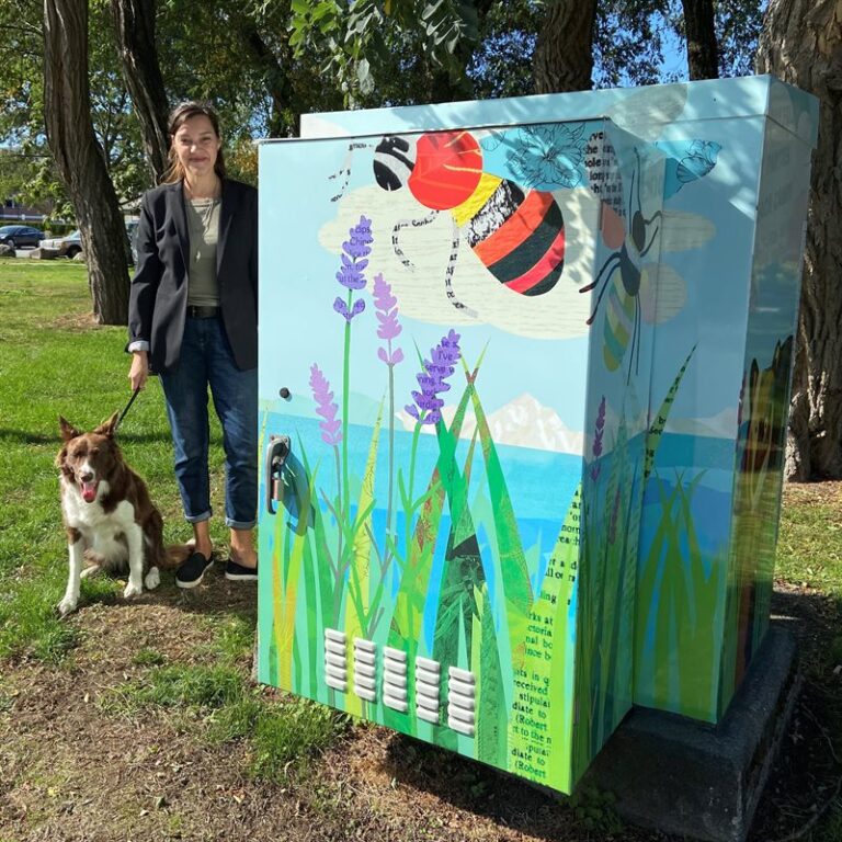 Sechelt looks for artists to design utility boxes