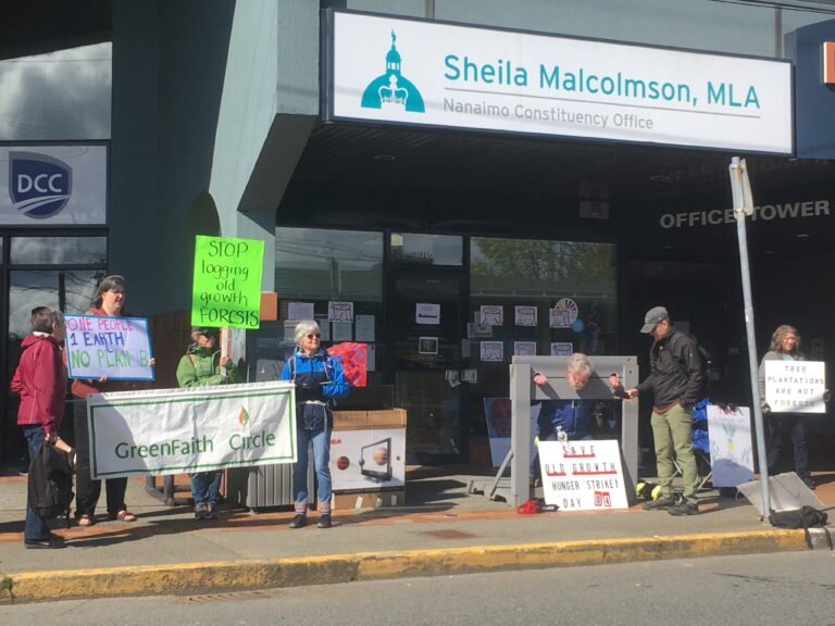 Anti-old growth logging activist locks self in pillory outside Nanaimo MLA’s office