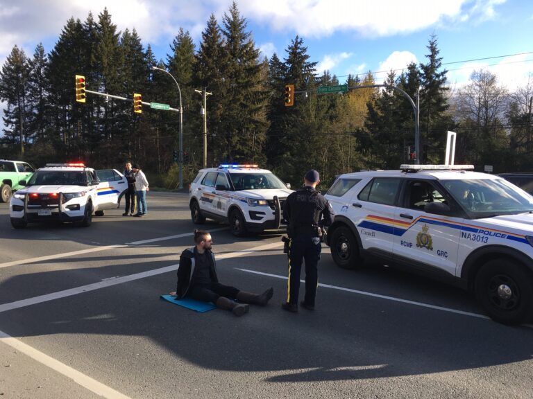 Nanaimo old growth logging protests continue, protest Gas Link pipeline