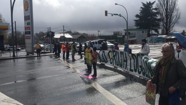 Save Old Growth protestors block Nanaimo highway again