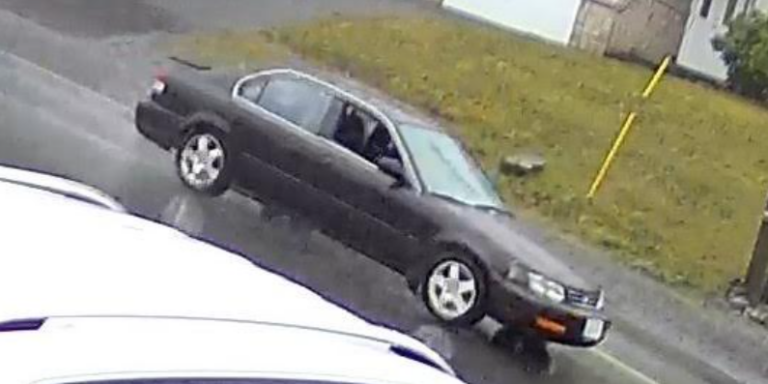 Nanaimo RCMP seek vehicle of interest in bear spray incident