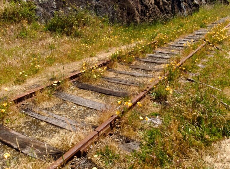ICF Releases Business Case for Full Restoration of Rail Service on Vancouver Island