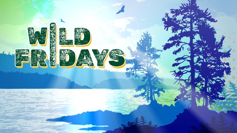 Wild Fridays