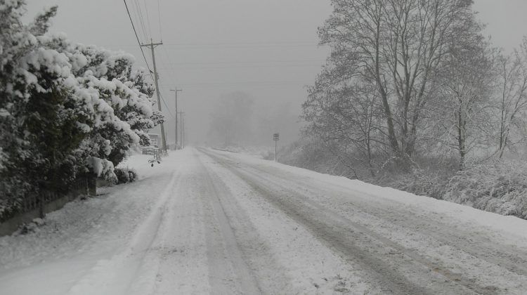 Snowfall warning in effect on parts of Vancouver Island