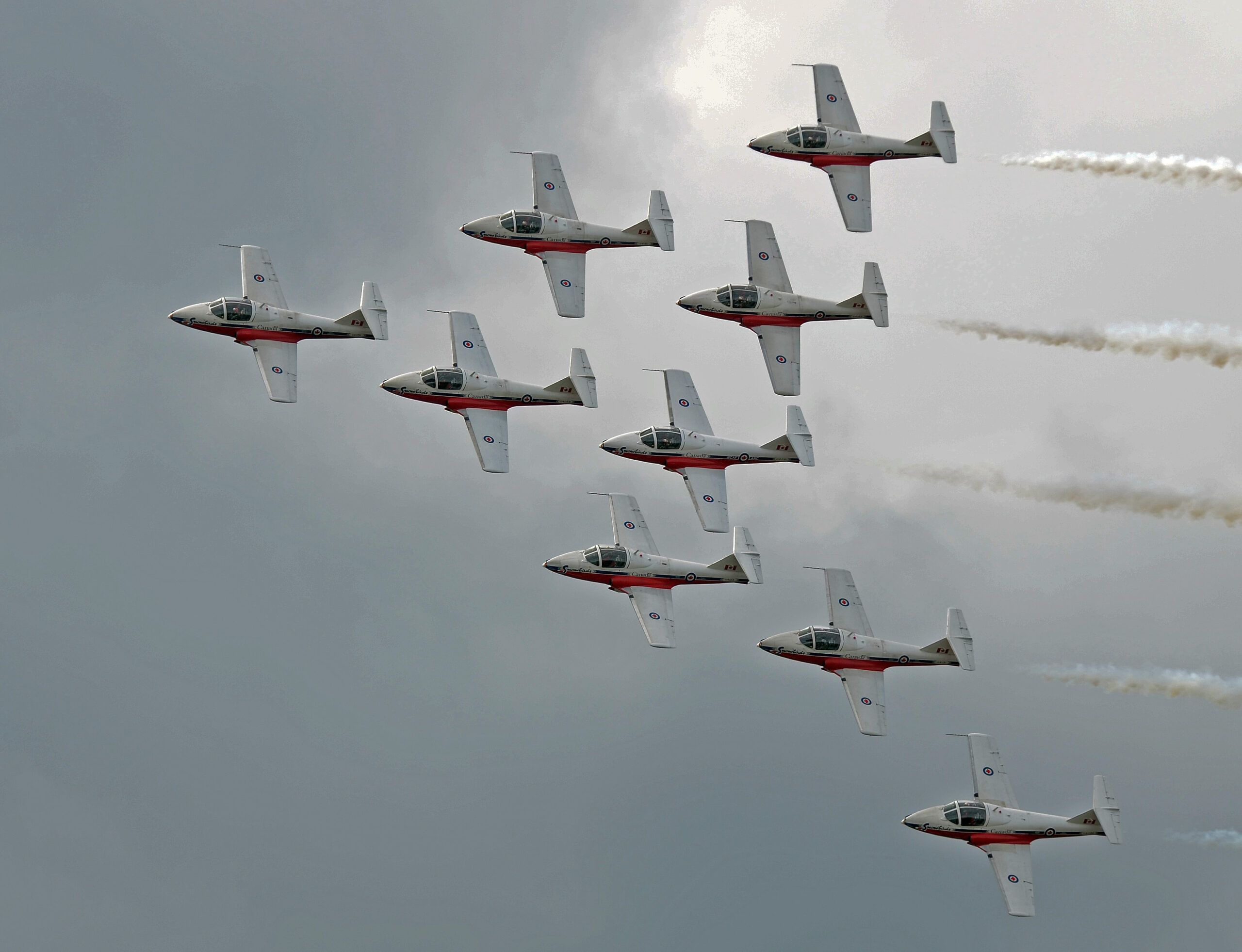 Snowbirds schedule released for 2023 My Coast Now