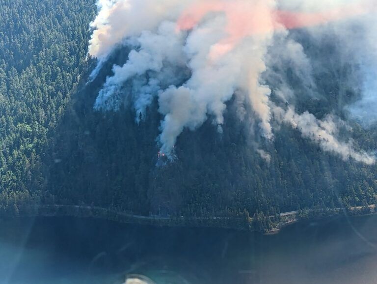 Nearly 90,000 hectares burned in Coastal Fire Centre, wildfires worst weather in Canada