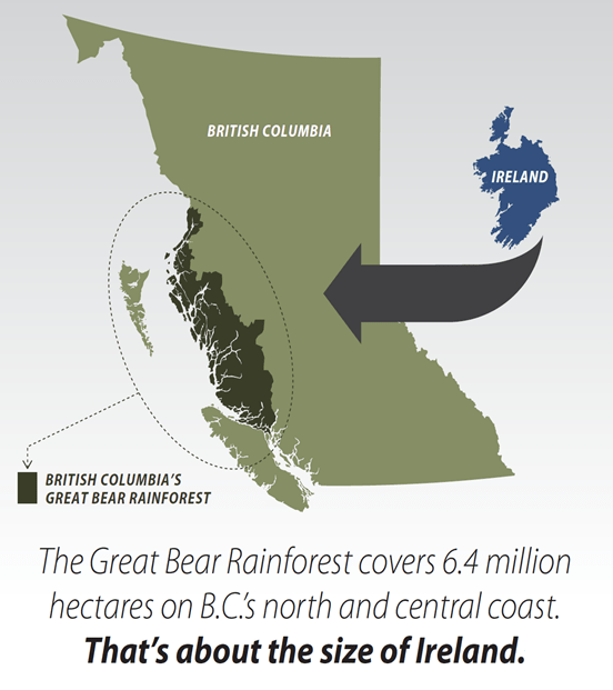 First Nations are the new management in Great Bear Rainforest