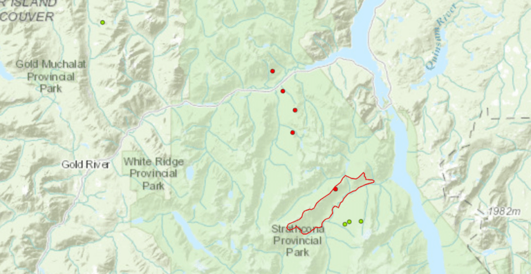Cluster of new fires in Strathcona Park, one near Gold River Highway