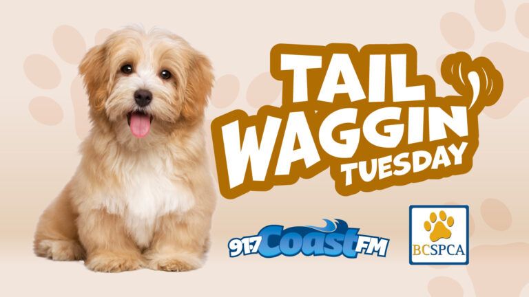 Tail Waggin’ Tuesday