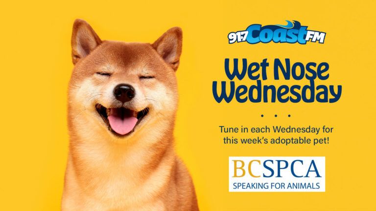 Wet Nose Wednesday