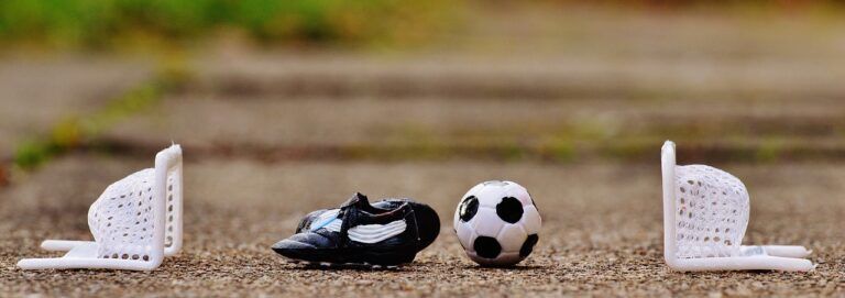Nanaimo Partnerships contribute to mini pitch for reconciliation