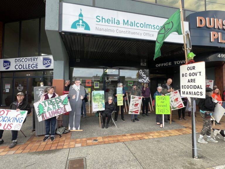 Nanaimo old growth protest wants the government to honor its promises 
