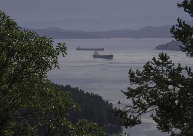 Time Limit Imposed on Freighters Parked in Anchorages