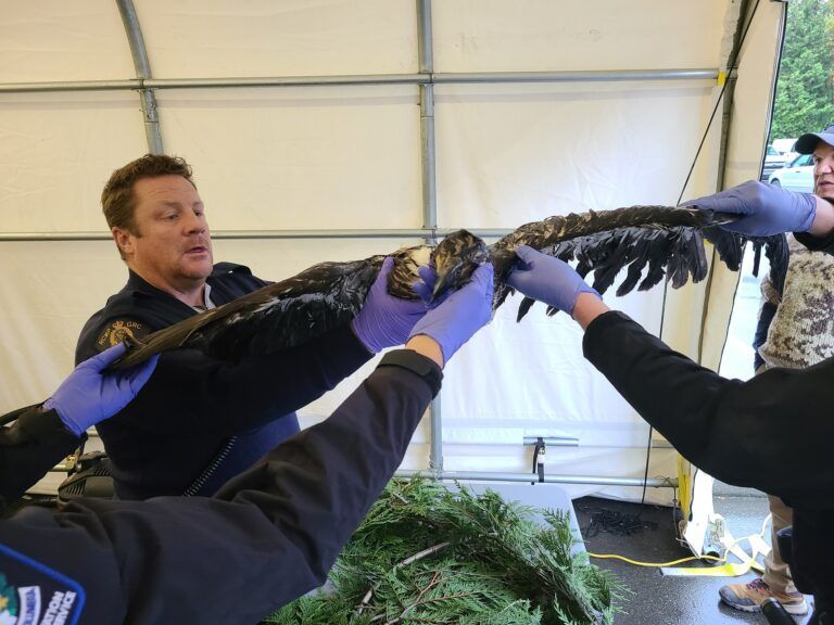 Nanaimo RCMP and First Nations celebrate Eagle Feather Harvest 