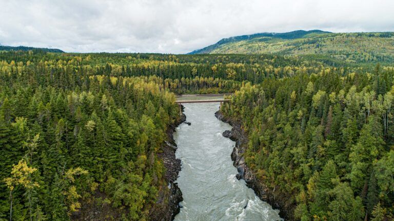 Gitanyow First Nation responds to lawsuit, land claim with Nisga’a First Nation