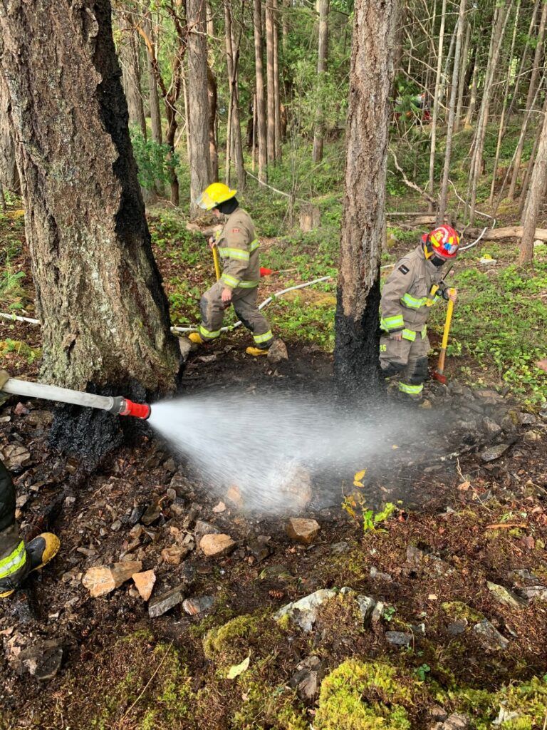 RDN receives grant to improve wildfire prevention