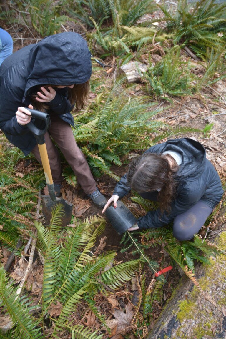 Funding granted to protect riparian habitat in French Creek 