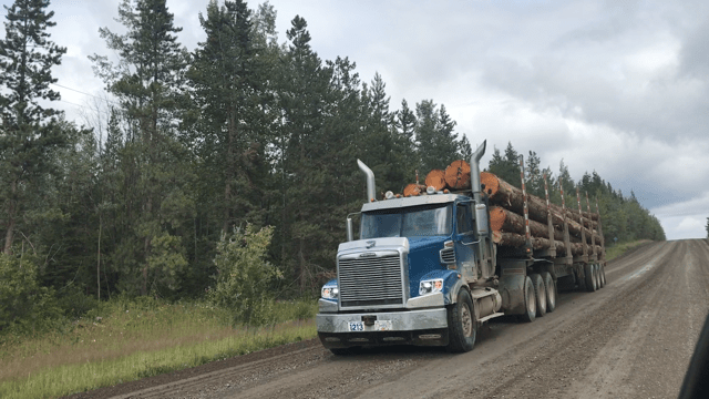 Lumber duties increasing to a punishing 14% by summer