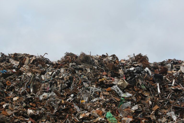 Sunshine Coast Regional District installing food waste containers
