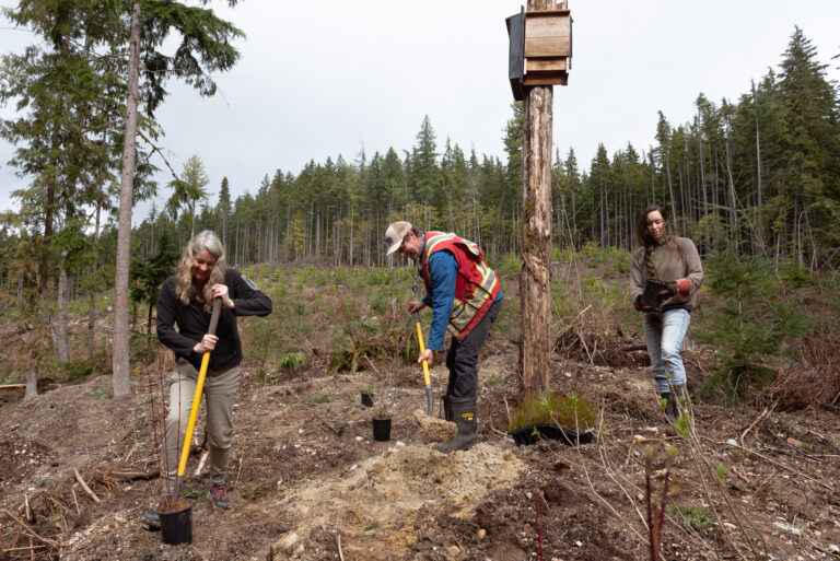 Sunshine Coast Foundation funds 16 community projects with over $115,000 in grants  