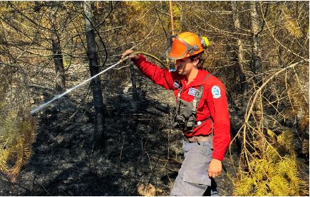 Wildfire near Cassidy now being held, Coastal Fire Service 