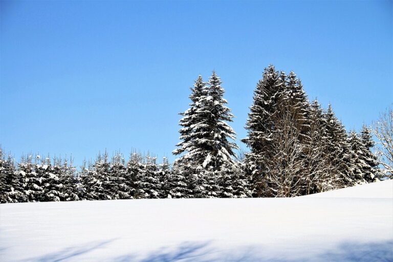 Vancouver Coastal Health offers safety tips for coming winter