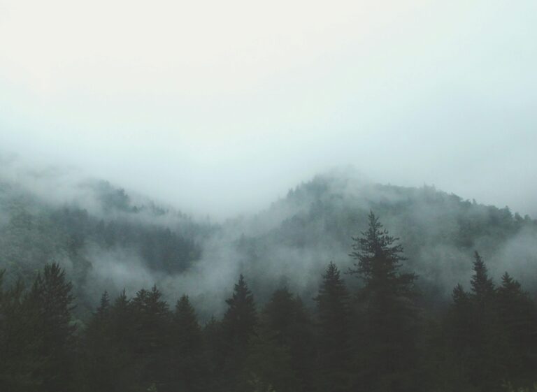 UPDATE: Fog advisory in effect for parts of Island and Coast till Thursday