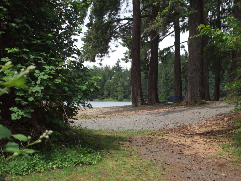 Nanaimo begins water testing at popular swimming spots